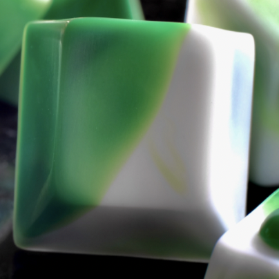 Algae Bloom