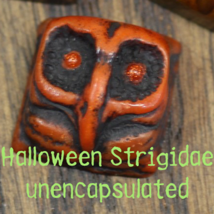 Halloween Strigidae