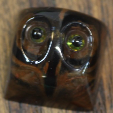 Specimen 66