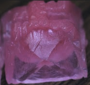 Psychomagnotheric Slime