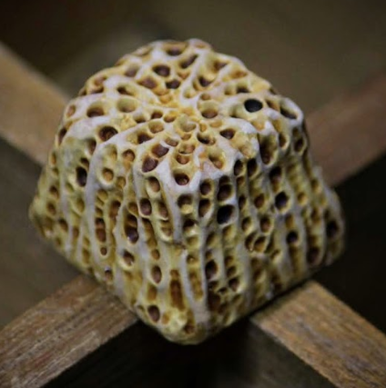 BoneHive (HP)