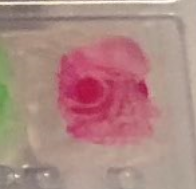 Glass Berry