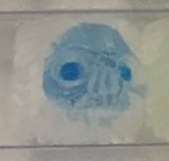 Blue Ice