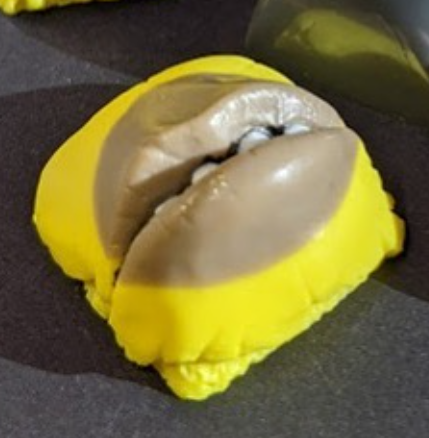 Mudbeam