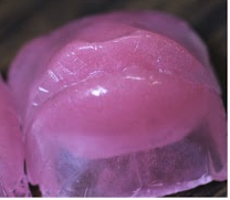 Psychomagnotheric Slime
