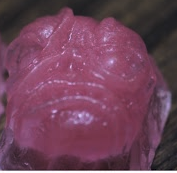 Psychomagnotheric Slime