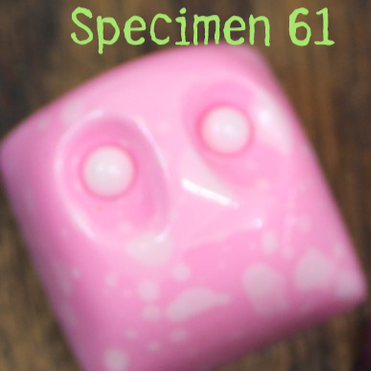 Specimen 61