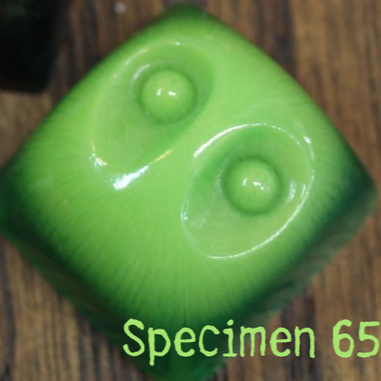 Specimen 65