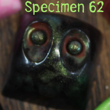 Specimen 62