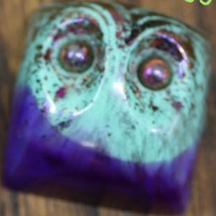 Specimen 69