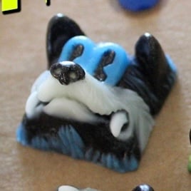 Blue Barracuda