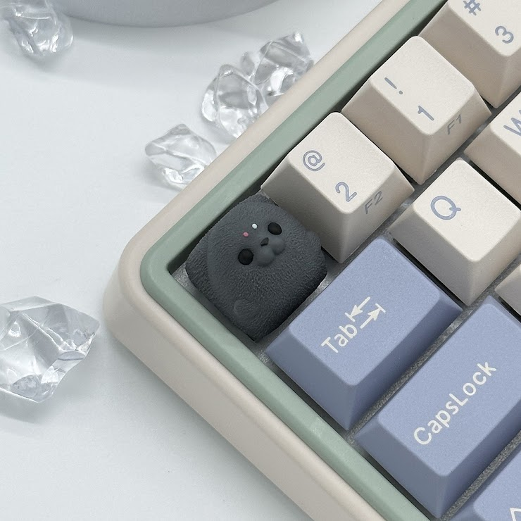 Salt