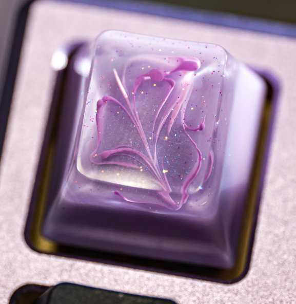 Verbena