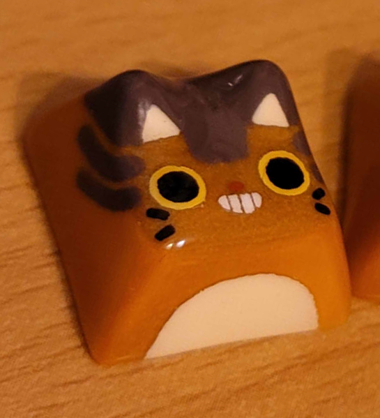 Cat Bus