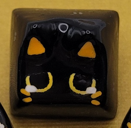 Scaredy Cat