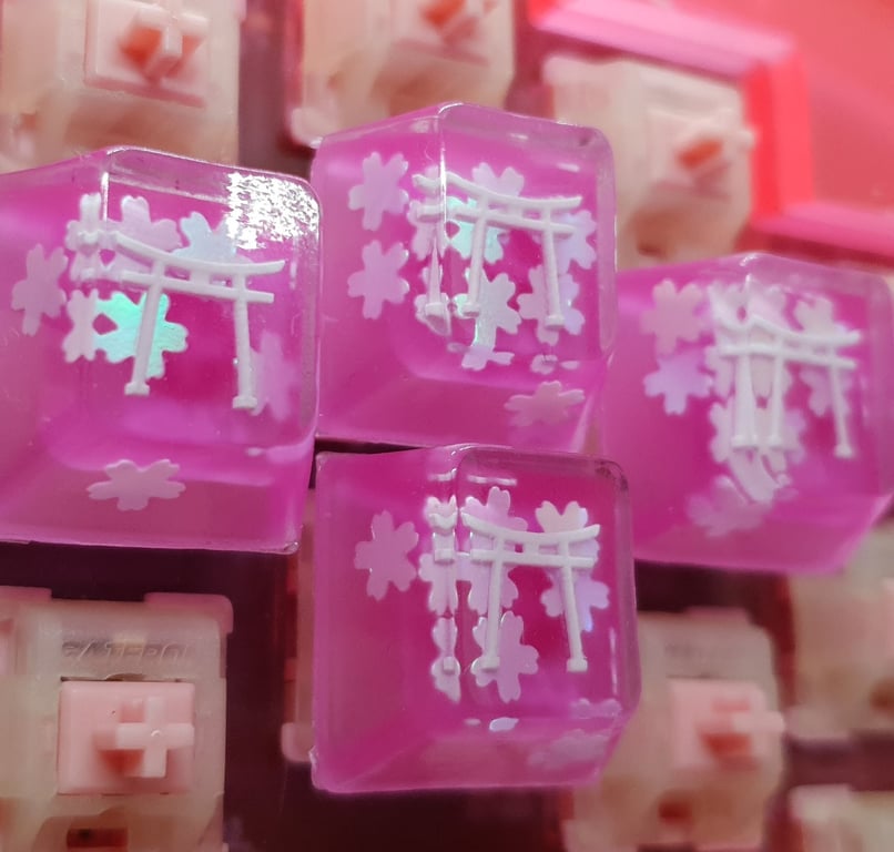 Cherry Blossom