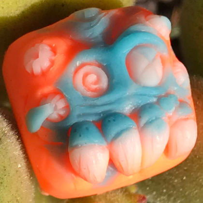 Tropical Splash