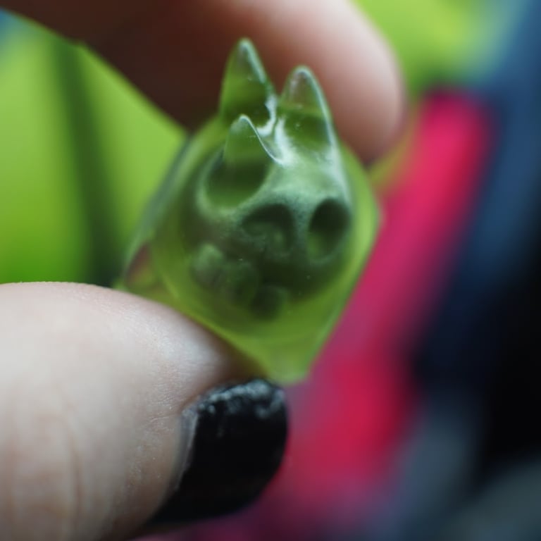 Oozi