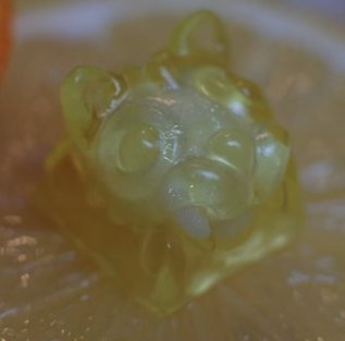 Citrus Blind Bag (Lemon)
