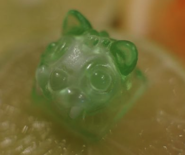 Citrus Blind Bag (Lime)