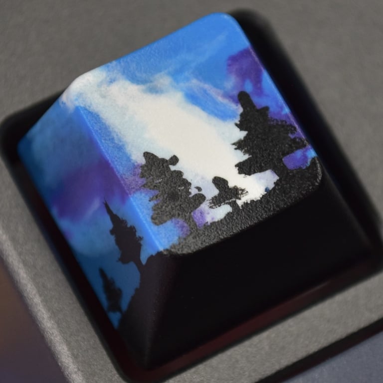 Borealis Sky