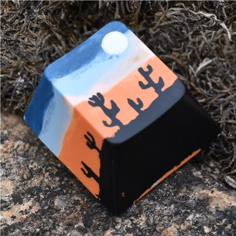 Beneath the Desert Sky