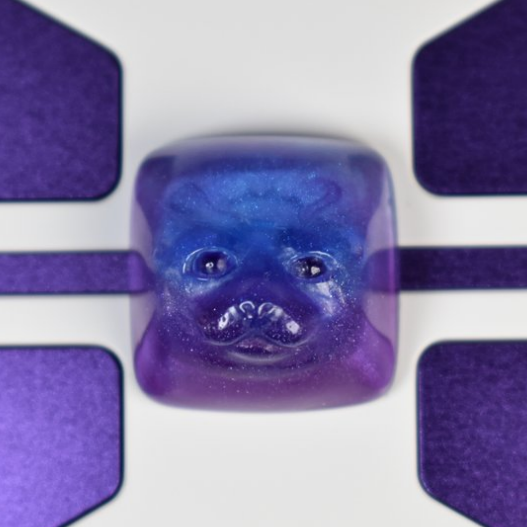 Indigo Dreams