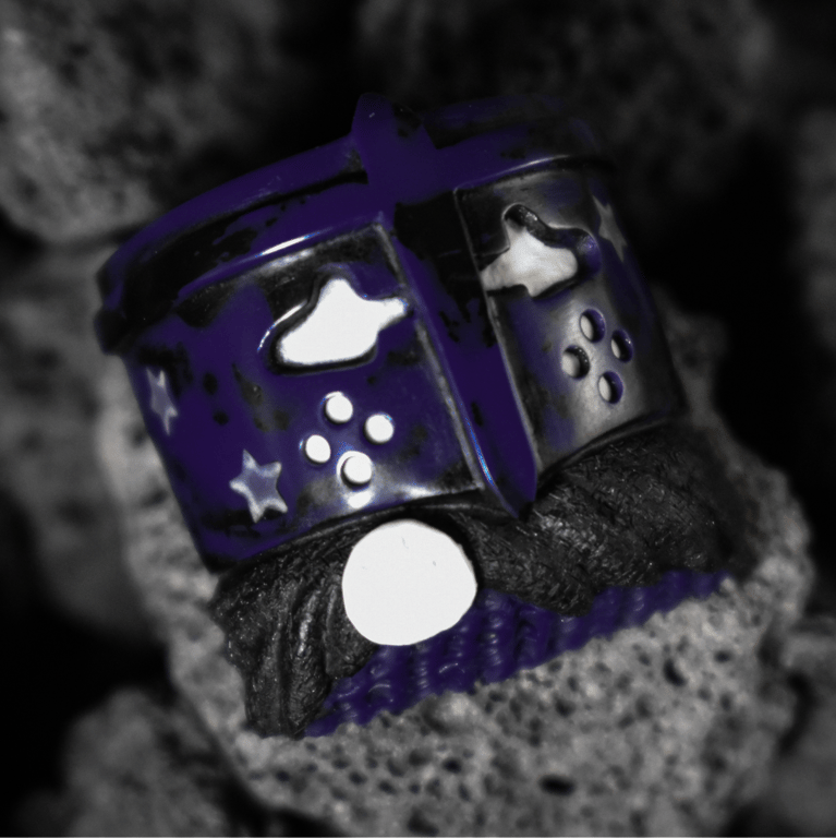 Moonlit Memories