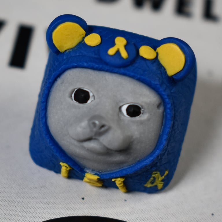 Vault 4 Dweller
