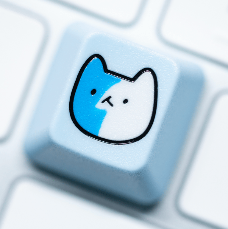 Cat Finder