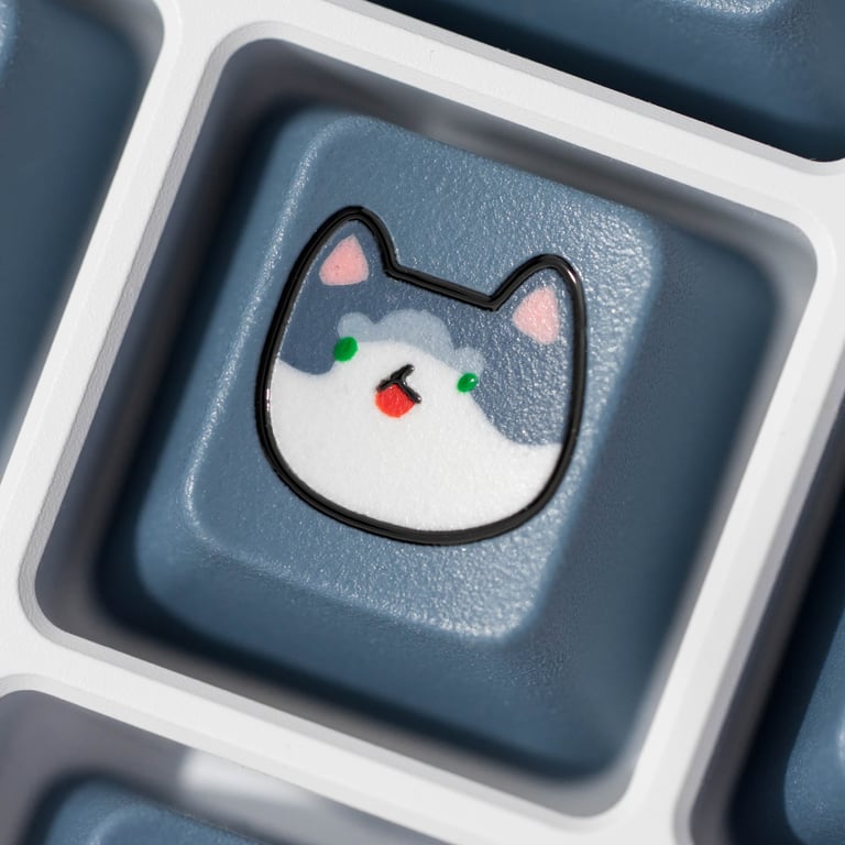 Tomcat