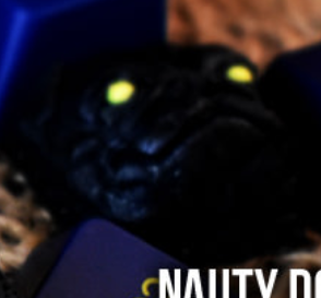 Nauty Dog