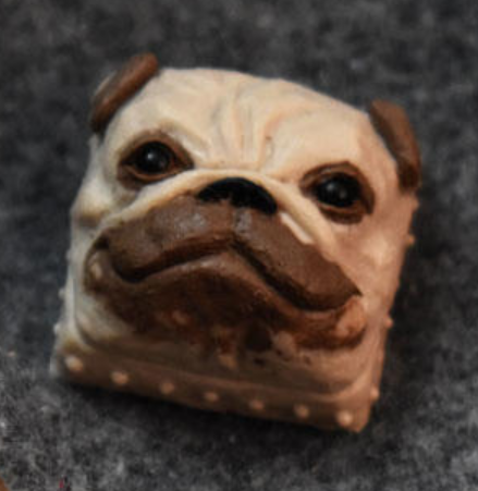 Pretty Puggo