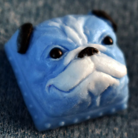 Loyal Blue