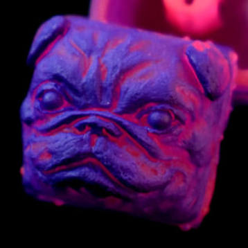 Bark-Net