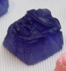 Nocturnal Indigo