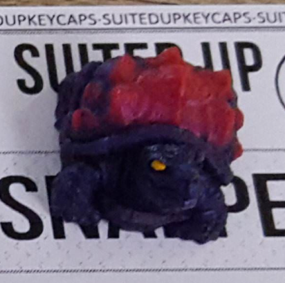 Snapper