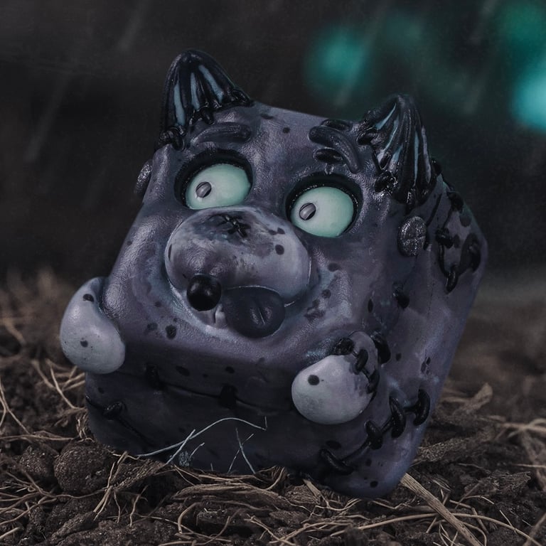 Sparki