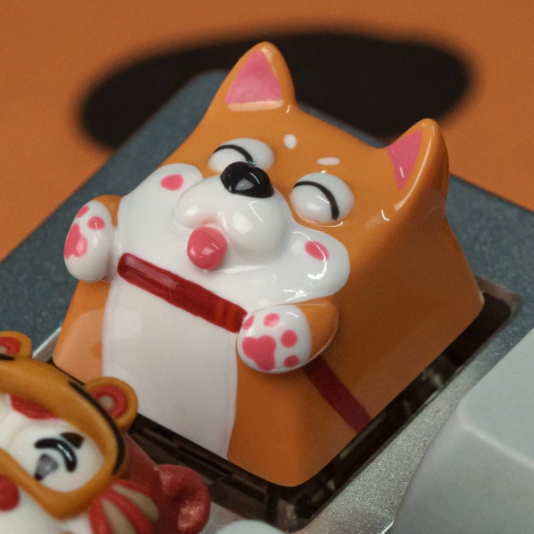 Shiba