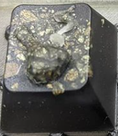 Gold Backed (Chalcopyrite infused)