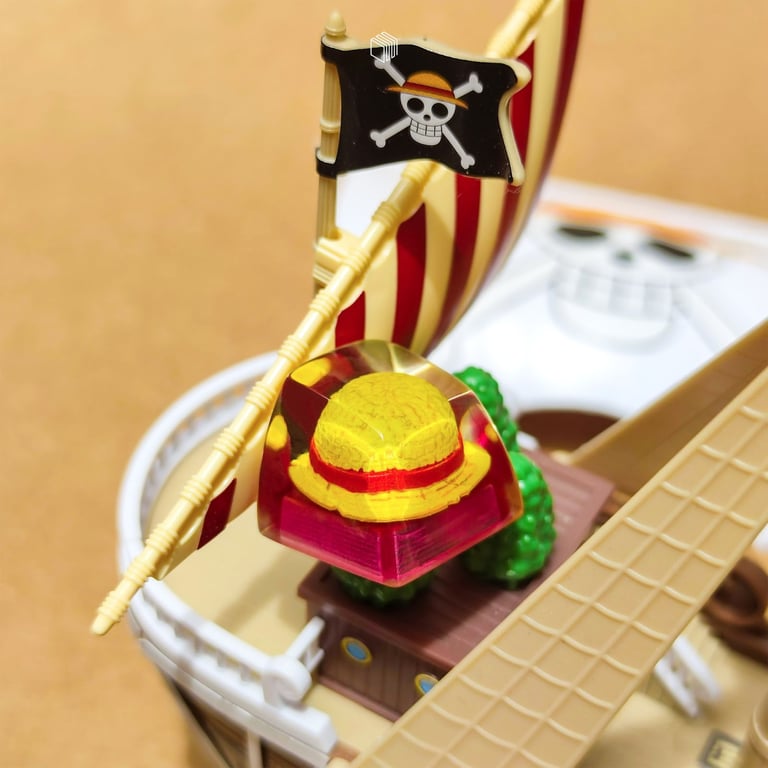 Luffy's cap