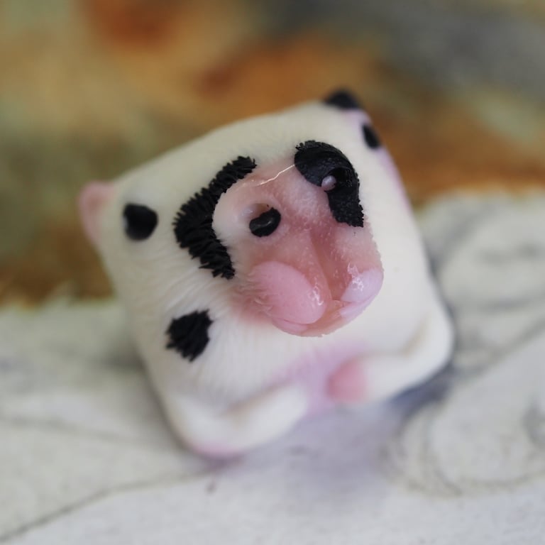 Moo