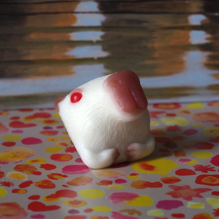 Albino