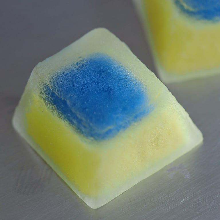 Sponge