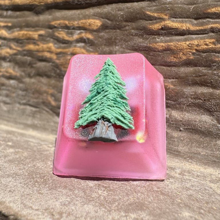 DouglASS Fir