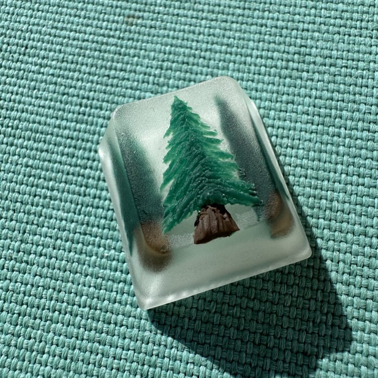 A Small Pine Grove