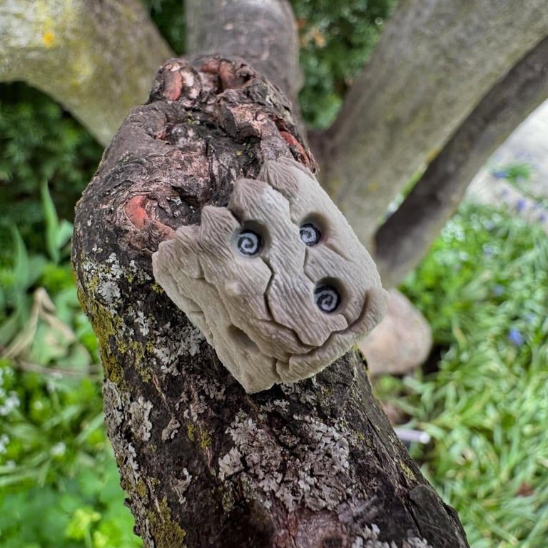 Wide Eyed and Wondering