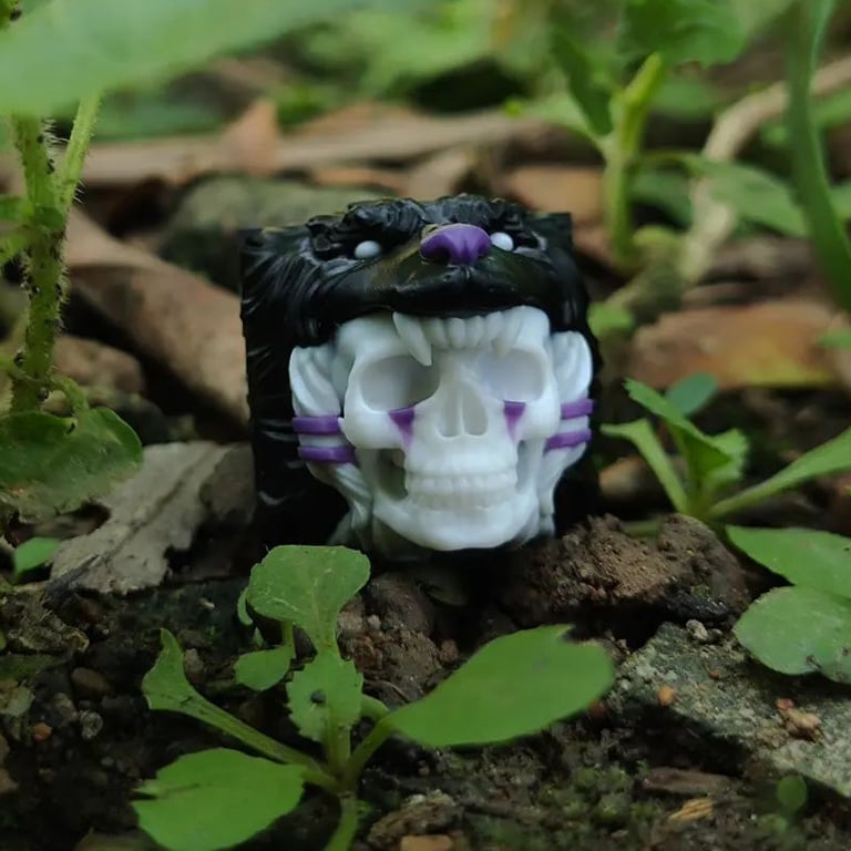 NO FACE