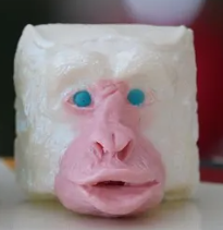 Wise Kissing Ape