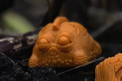 Pumpkin Orange